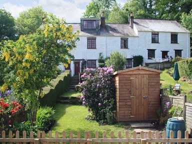 A garden with a wooden shed flowers and a white house in the background at Tuckermarsh Quay River Cottage 2 Bere Alston near Tavistock
