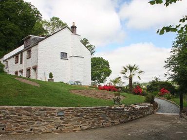 A white stone cottage with a stone wall and a gravel driveway with palm trees and flower beds at Tuckermarsh Quay River Cottage 2 in Bere Alston near Tavistock