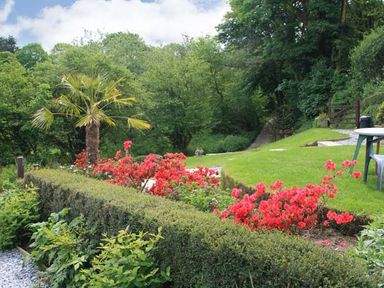 A garden with a palm tree red flowers hedges grass and a plastic table and chairs at Tuckermarsh Quay River Cottage 2 Bere Alston near Tavistock