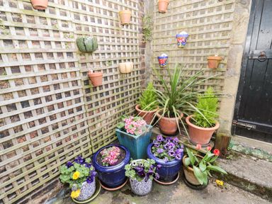 A collection of various potted plants and flowers against lattice fences next to a black wooden door at Coquet Cottage in Amble