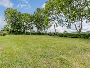 A grassy garden area with trees and a hedge border at Garden Cottage Bush Green near Pulham Market