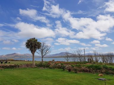 A grassy field with trees and a body of water with hills in the background at Kates Cottage in Knightstown Valentia Island County Kerry