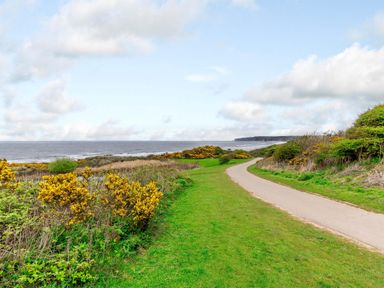 A coastal path with green grass and yellow bushes near the sea at Sunrise The Bay near Filey