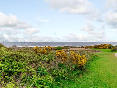 A coastal landscape with green grass yellow bushes and the sea in the background at Sunrise The Bay near Filey