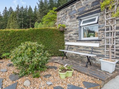 An outdoor seating area with a white bench against a stone wall near a small window surrounded by plants and bushes at Henrhiw Bach in Penmachno