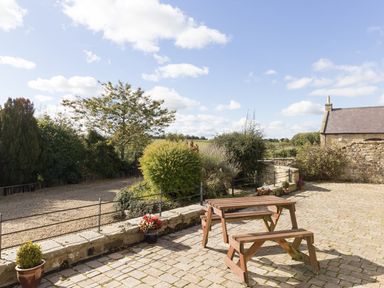 An outdoor patio area with a wooden picnic table and benches surrounded by plants and a stone wall at Ridge Cottage in Whitridge