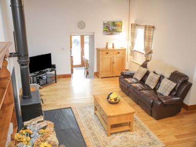 A living room with a brown leather sofa three plaid cushions a wooden coffee table with fruit a wood stove and a television at Pendre Uchaf in Melin-y-Wig near Ruthin