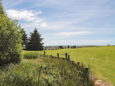 A grassy field with a small wooden fence and tall plants next to trees under a blue sky at Drovers Rest in Otterburn