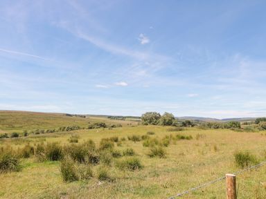 A grassy field with scattered bushes and trees under a blue sky at Drovers Rest in Otterburn