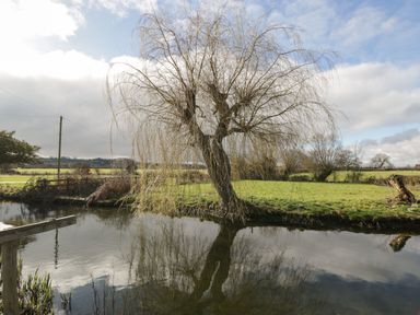 A leafless tree next to a pond with reflecting water and fields in the background at Stables Cottage in Bowerhill near Melksham