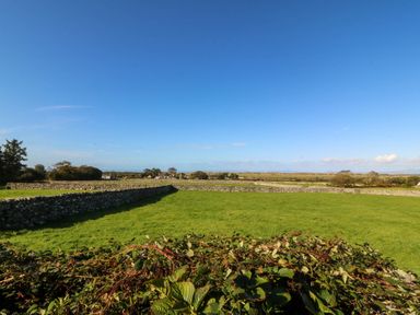 A grassy field with stone walls and trees at Tyddyn in Dyffryn Ardudwy