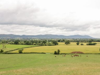 A rural landscape with green fields and cows grazing near hills under a cloudy sky at Beesoni Lodge in Castlemorton near Malvern