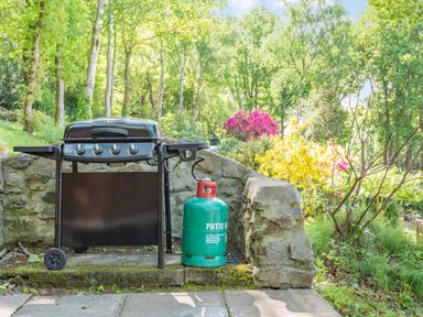 An outdoor gas barbecue grill on a stone patio next to a green gas cylinder with trees and flowering bushes in the background at Bluebell Cottage in Maenan near Llanrwst