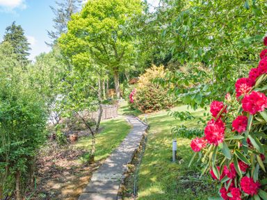 A garden path with green trees and red flowers at Bluebell Cottage in Maenan near Llanrwst