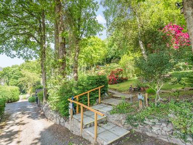 A garden path with stone steps wooden handrails trees and flowering shrubs at Bluebell Cottage in Maenan near Llanrwst