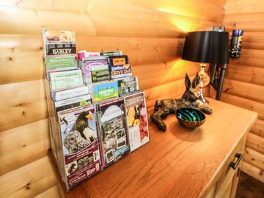 A wooden countertop with brochures in a clear holder a black table lamp a decorative rabbit figure and a small bowl in a wooden room at Cornfield in Northallerton