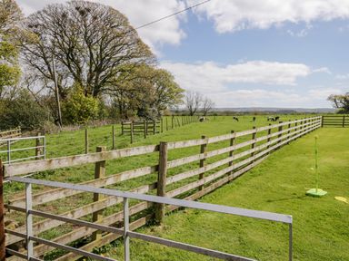 A fenced green field with cows grazing and a grass area with a badminton set at The Old Bothy in Bolton Low Houses near Wigton