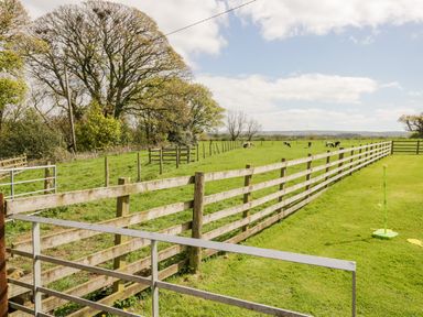 A fenced grassy field with cows grazing and trees in the background at The Old Grainstore in Bolton Low Houses near Wigton