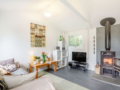 A living room with a sofa a wooden table with flowers a stove a television and shelves at The Shepherd's Hut in Aberdovey