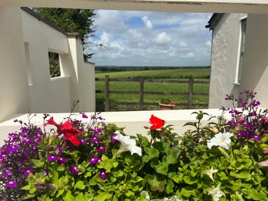 Flowers in a planter box with a wooden fence and green fields in the background at Palmers Lodge in Egloskerry near Launceston