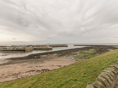 A harbor with boats docked near breakwaters and a grassy slope in the foreground at Crumstone Corner in Seahouses
