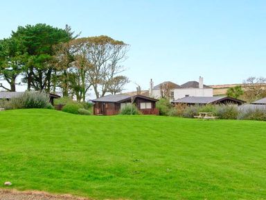 Green grassy area with wooden cabins trees and a wooden picnic table at Ty Pren in Llanrhian near St Davids