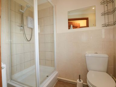 A bathroom with a shower and toilet at The Dairy in Penuel near Llanmorlais
