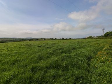 A grassy field under a cloudy sky at The Dairy in Penuel near Llanmorlais