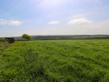 An open field with grass and trees at The Dairy in Penuel near Llanmorlais