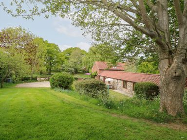 A grassy garden area with bushes trees and a stone house with a tiled roof at Moonlight Cottage in Coltishall