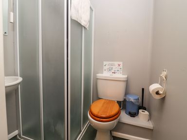 A bathroom with a toilet with a wooden seat next to a frosted glass shower and a small sink at Greyhound Barn Barnsley near Cirencester