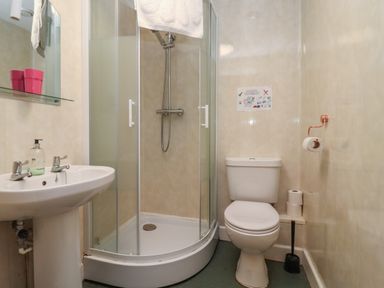A bathroom with a shower enclosure sink and toilet at Greyhound Barn in Barnsley near Cirencester
