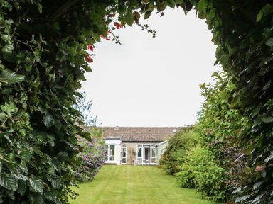 A lawn with bushes on both sides leading to a house framed by leafy branches at Stable Cottage Belford near Bamburgh