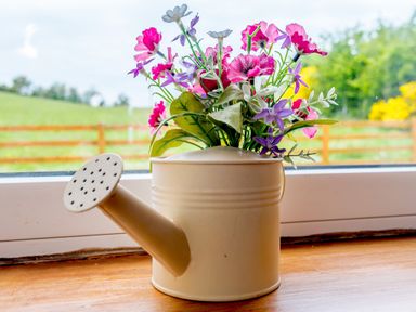 A watering can with artificial pink and purple flowers on a windowsill with a green field visible outside at Pen Y Gaer in Llannefydd near Abergele and Denbigh