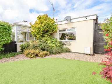 A garden with a variety of shrubs and a small tree next to a cream house with a window and a conservatory at Beach Cottage in Conwy