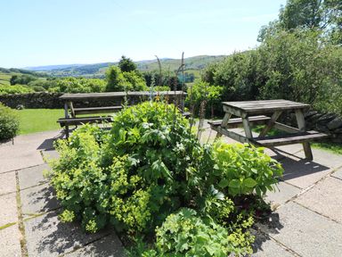 A garden area with two wooden picnic tables surrounded by plants and greenery at Ghyll Bank House in Staveley near Windermere