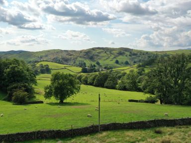 A rural landscape with green fields trees sheep and hills at Ghyll Bank Bungalow in Staveley near Windermere