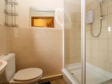 A bathroom with a shower and toilet at The Stall Penuel near Llanmorlais