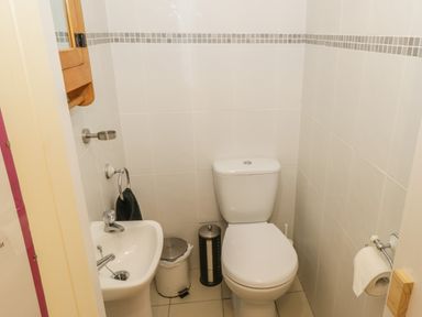 A small bathroom with a toilet sink trash can and toilet paper holder at Willowbrook Cottage in Askill County Leitrim