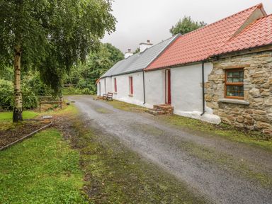 A gravel driveway beside white cottages with tiled roofs and a tree on the grass at Willowbrook Cottage in Askill County Leitrim