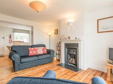 A living room with a blue sofa and pink cushions near a fireplace with pinecones at Coastguard Cottage in Low Newton-by-the-Sea near Beadnell