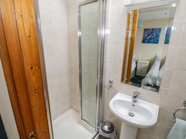 A bathroom with a shower cabin a sink a mirror and a wooden door at Quayside House in Roundstone County Galway