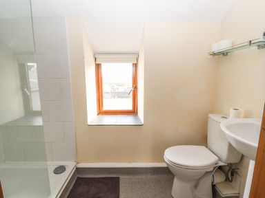 A bathroom with a shower area a window a toilet and a sink at Maestyddyn Farm House in Clawddnewydd near Ruthin