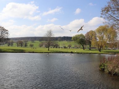 A pond with birds flying and swimming surrounded by grassy fields and trees at Maestyddyn Farm House Clawddnewydd near Ruthin