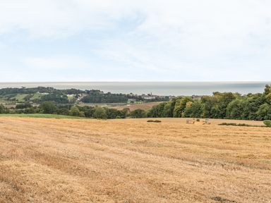 A harvested field with a combine harvester near trees and a village by the sea at Brian's Cottage in Alnmouth