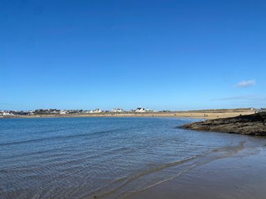 A beach with water in the foreground and houses along the shore under a blue sky at Minerva in Trearddur Bay