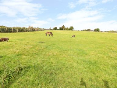 A grassy field with a horse and sheep grazing near a fence at Potters Barn in Begelly near Kilgetty