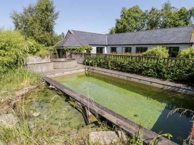 An outdoor natural swimming pool with a wooden deck and hot tub surrounded by plants at The Visiting House in Gorteen near Dunmore County Galway