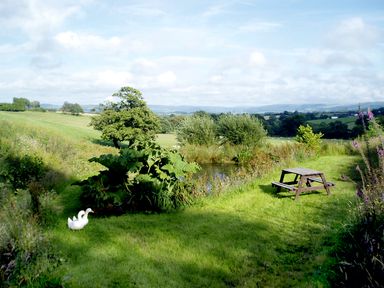 A grassy area with two white ducks near a small pond and a wooden picnic table at Cwm Derw Cottage in Llanafan Fawr near Builth Wells