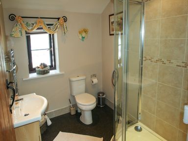 A bathroom with a sink a toilet a shower with glass doors and a window with curtains at Cwm Derw Cottage in Llanafan Fawr near Builth Wells
